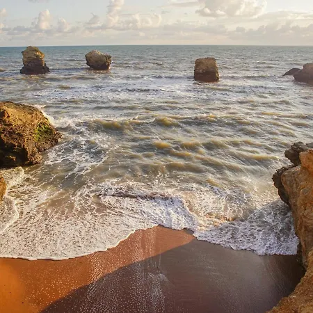 Evasion Marine * Saint-Hilaire-de-Riez