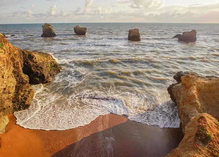 Evasion Marine * Saint-Hilaire-de-Riez